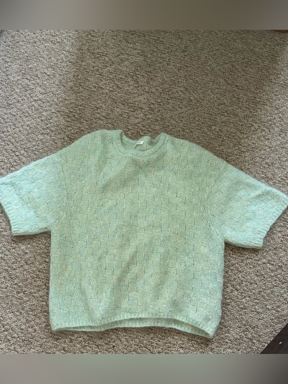 Light Mint Crewneck Short-Sleeve Sweater
